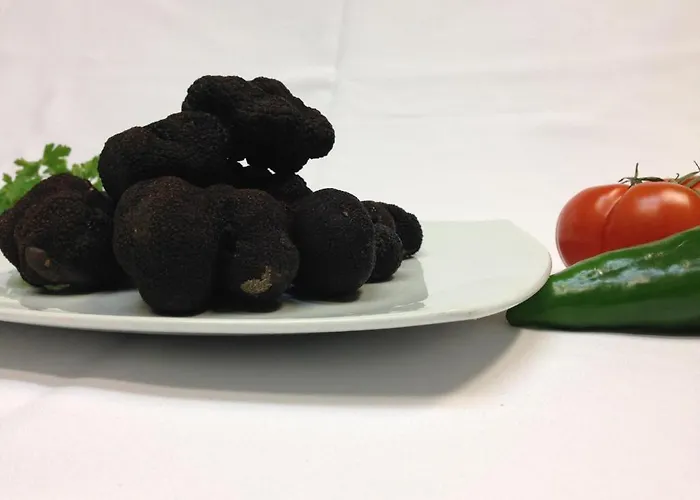 Hospedium Lleida Hotel Graus